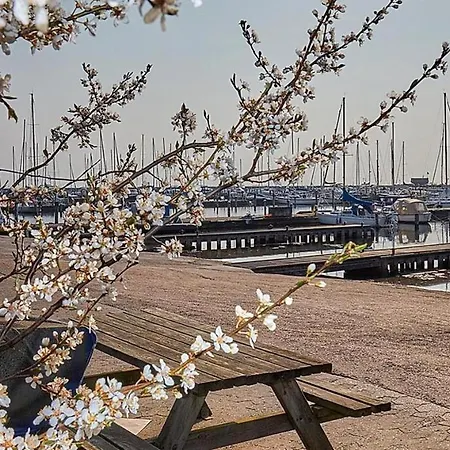 Hus M Gaard Have, 25m Fra Havet, Havn, Strand, High Speet Internet, Restauranter Appartement *